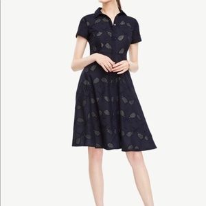 Ann Taylor Navy Midi Dress